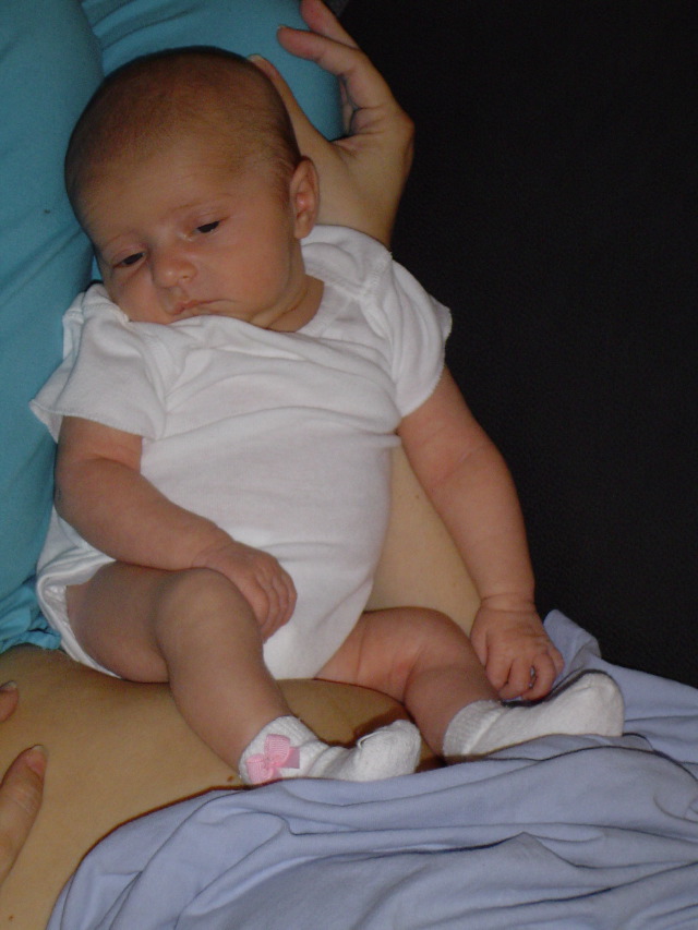 lily6