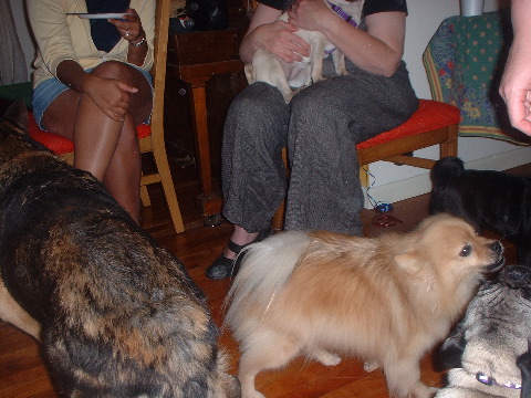 DSCF0021.JPG