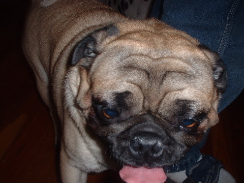 DSCF0023.JPG
