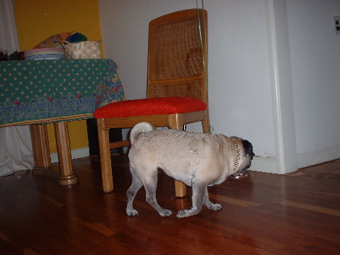 DSCF0007.JPG