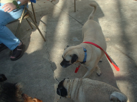 DSCF0028.JPG
