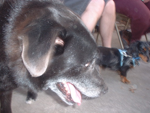 DSCF0029.JPG