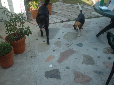 DSCF0031.JPG