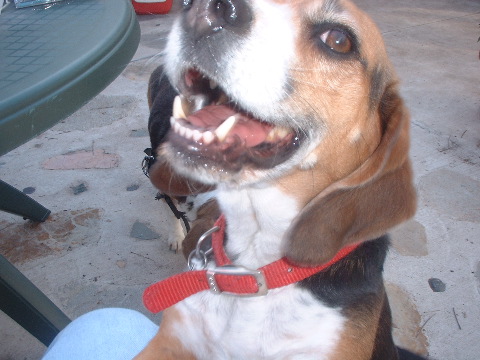 DSCF0032.JPG
