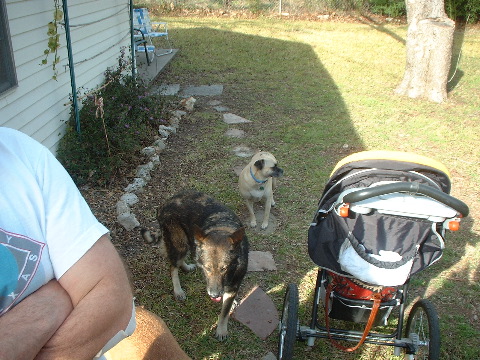 DSCF0012.JPG
