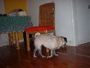 DSCF0007.JPG