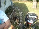 DSCF0012.JPG