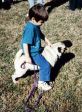4pugboy