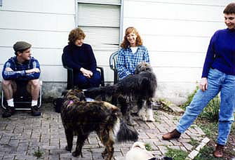6porch