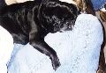 6sleepy