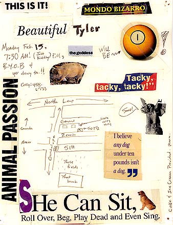 1flier