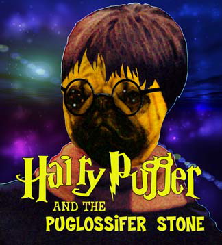 hairypugger